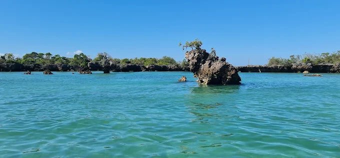 Zanzibar: Safari Blue Full - Day Snorkeling Tour with Seafood Lunch
