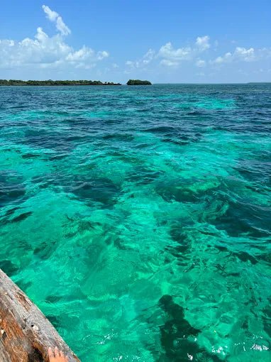 Zanzibar: Safari Blue Full - Day Snorkeling Tour with Seafood Lunch