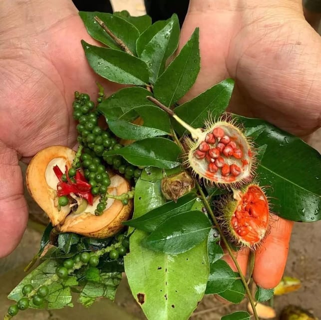 Zanzibar: Spice Farm and Stone Town Guided Tour with Lunch