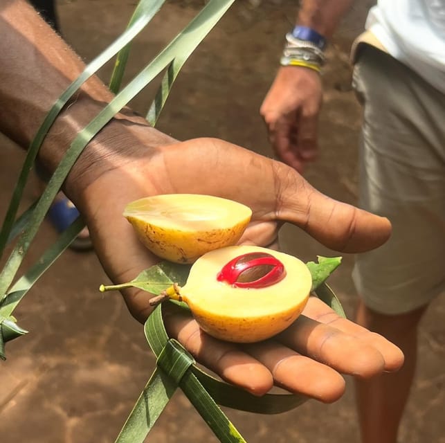 Zanzibar: Spice Farm and Stone Town Guided Tour with Lunch