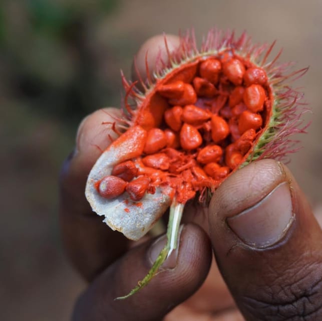 Zanzibar: Spice Farm and Stone Town Guided Tour with Lunch