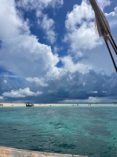 Zanzibar: Starfish Beach, Blue Lagoon Snorkeling, and The Rock Restaurant Tour