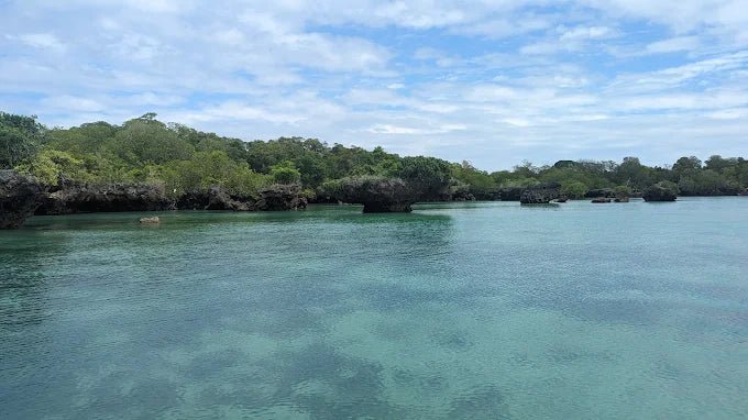 Zanzibar: Starfish Beach, Blue Lagoon Snorkeling, and The Rock Restaurant Tour