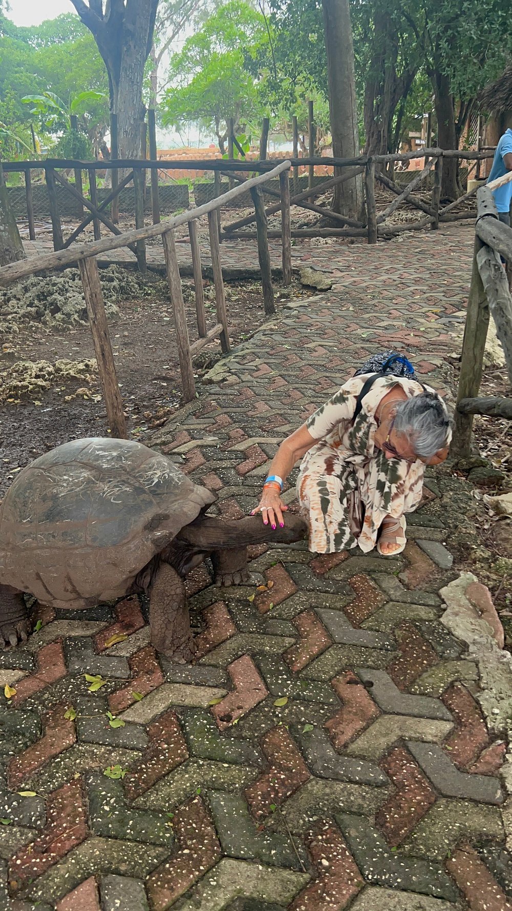 Zanzibar: Stone Town and Prison Island Guided Tour with Lunch