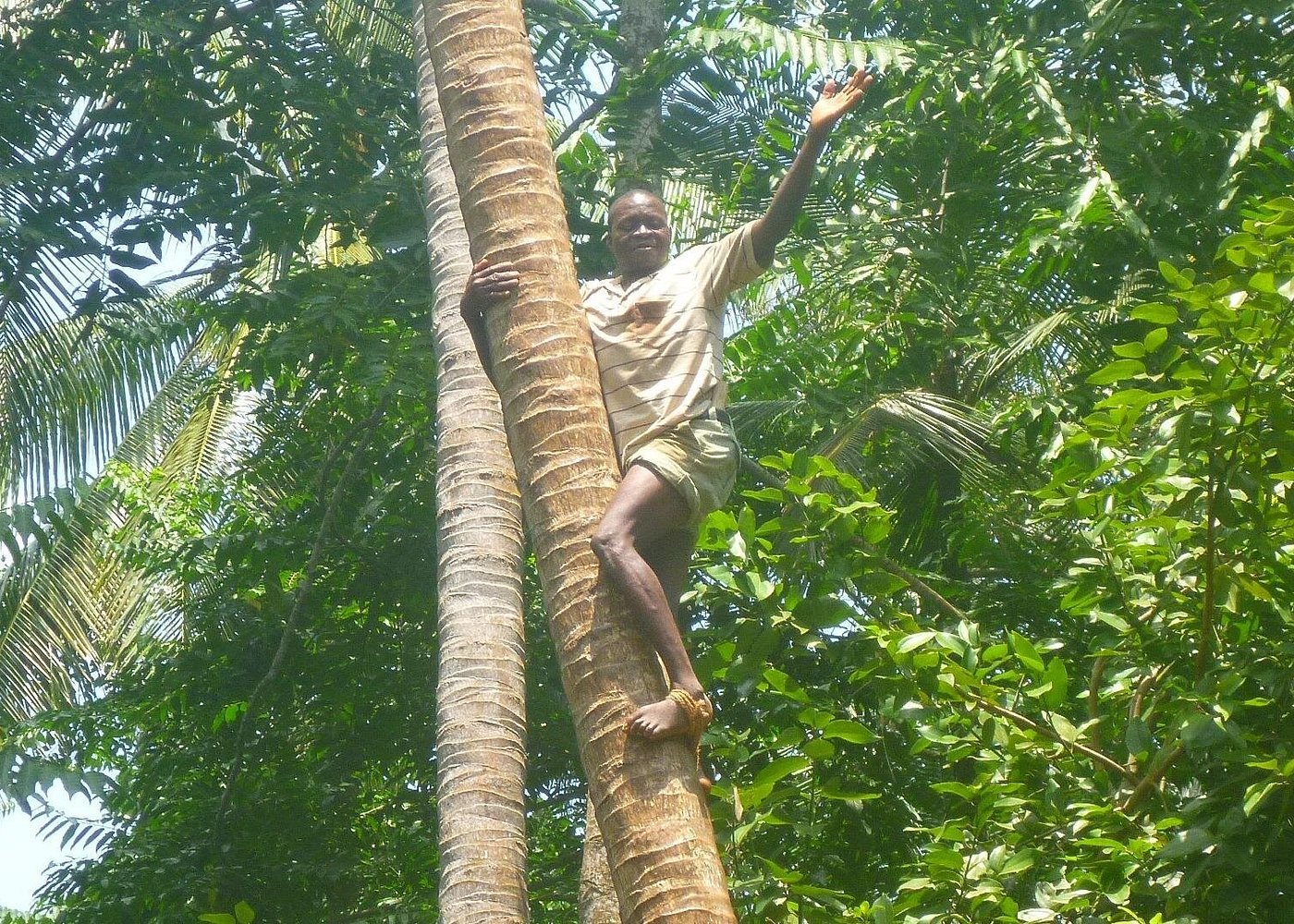 Zanzibar: Stone Town and Spice Farm Guided Walking Tour