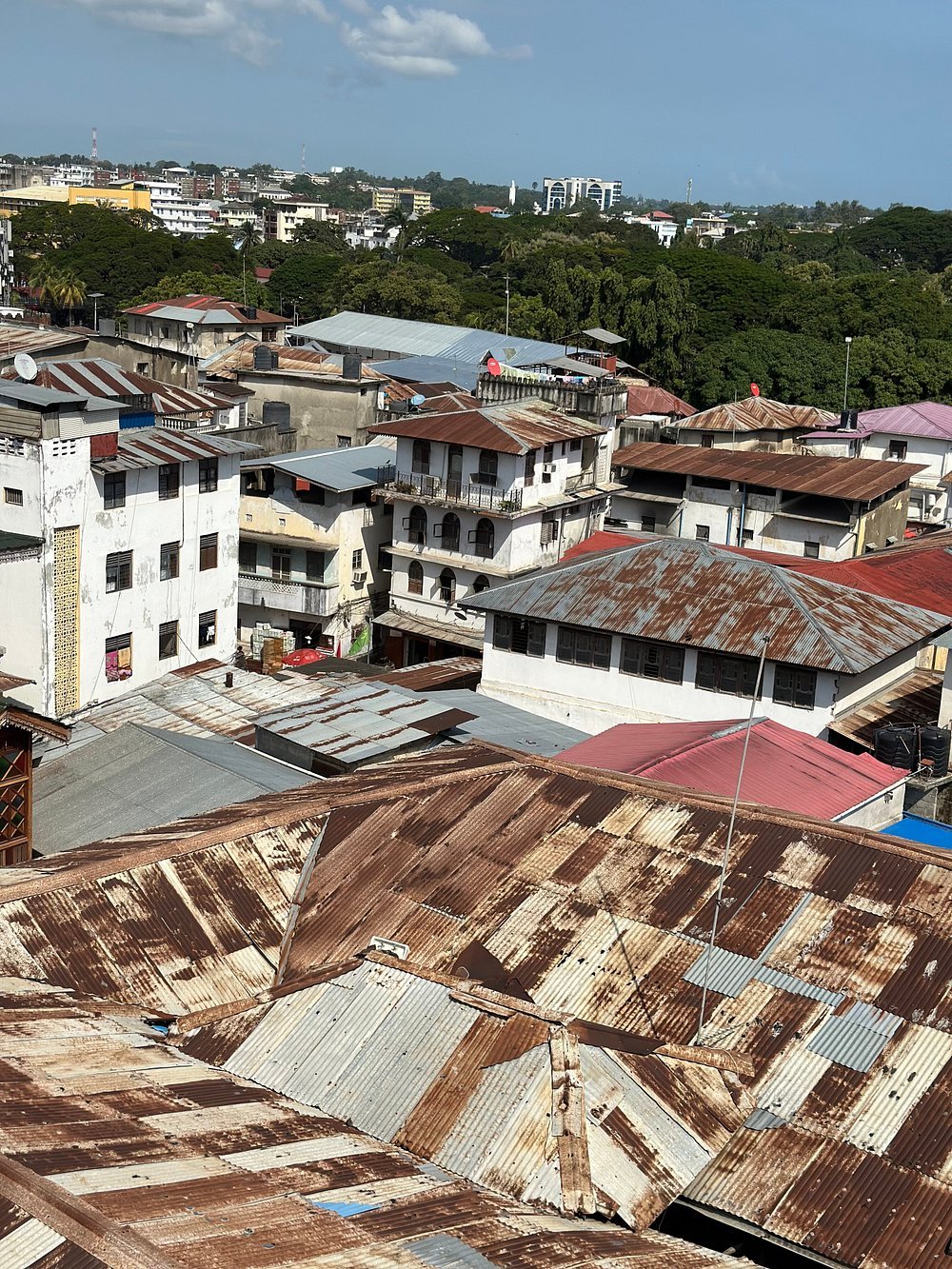 Zanzibar: Stone Town Historical Walking Tour