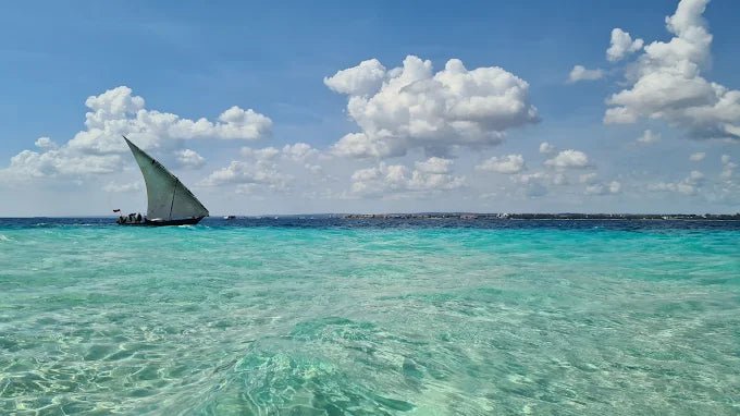 Zanzibar: Stone Town, Prison Island, and Nakupenda Sandbank Tour with Lunch