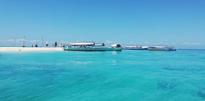 Zanzibar: Stone Town, Prison Island, and Nakupenda Sandbank Tour with Lunch