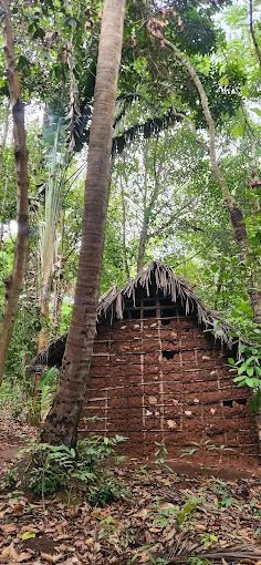 Zanzibar: Stone Town Walking Tour, Spice Farm Visit, and Prison Island