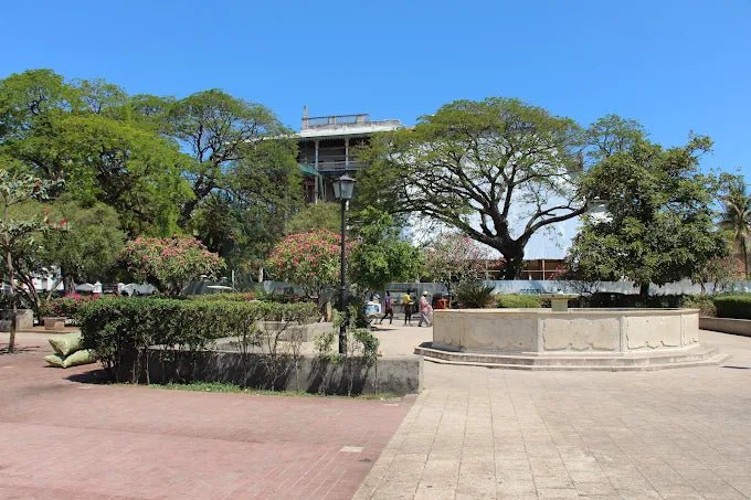 Zanzibar: Stone Town Walking Tour, Spice Farm Visit, and Prison Island
