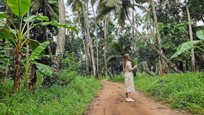 Zanzibar: Stone Town Walking Tour, Spice Farm Visit, and Prison Island