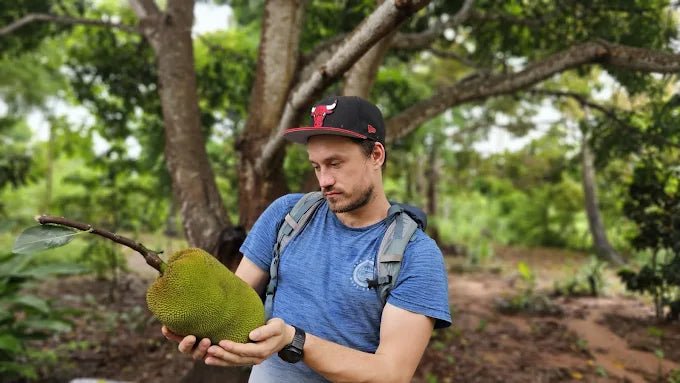 Zanzibar: Stone Town Walking Tour, Spice Farm Visit, and Prison Island