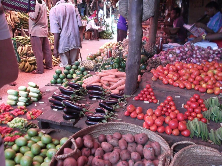 Zanzibar: Stone Town Walking Tour with Freddie Mercury Museum Visit