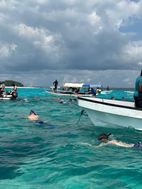 Zanzibar: Swim with Dolphins and Snorkel at Mnemba Island