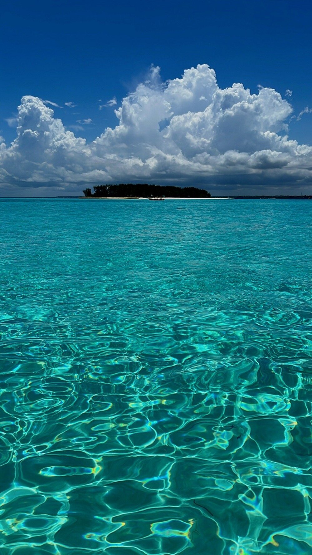 Zanzibar: Swim with Dolphins and Snorkel at Mnemba Island