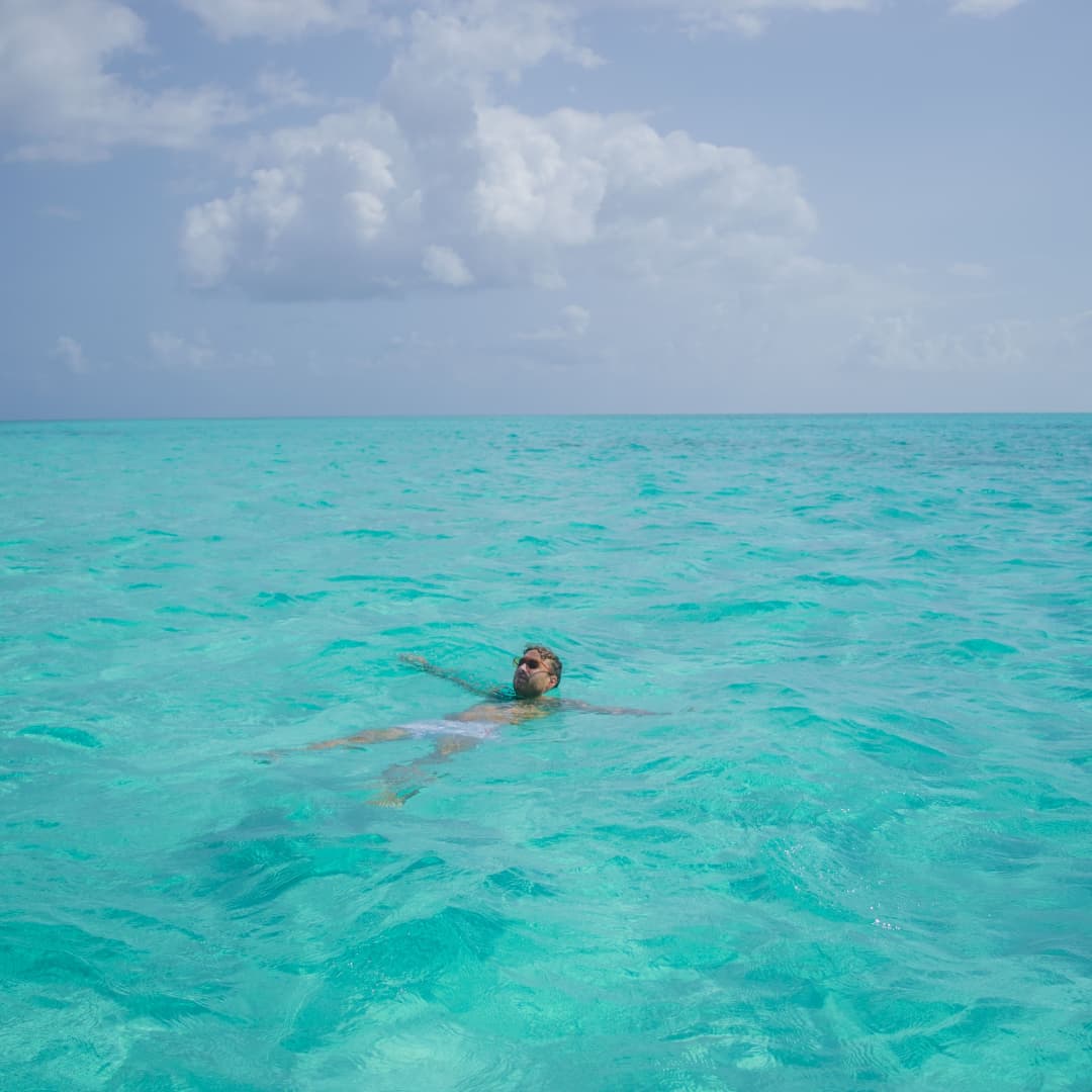 Zanzibar: Swim with Dolphins at Mnemba Island and Visit Turtles at Aquarium