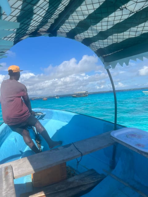 Zanzibar: Swim with Dolphins at Mnemba Island and Visit Turtles at Aquarium