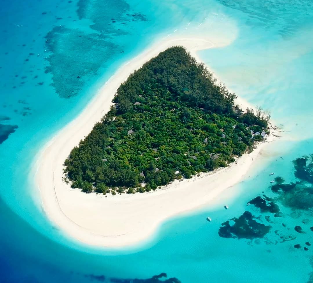 Zanzibar: Swim with Dolphins at Mnemba Island and Visit Turtles at Aquarium