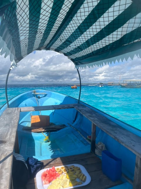 Zanzibar: Swim with Dolphins at Mnemba Island and Visit Turtles at Aquarium