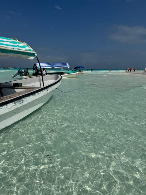 Zanzibar: Swim with Dolphins at Mnemba Island and Visit Turtles at Aquarium
