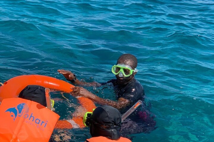 Zanzibar: Swim with Dolphins at Mnemba Island and Visit Turtles at Aquarium