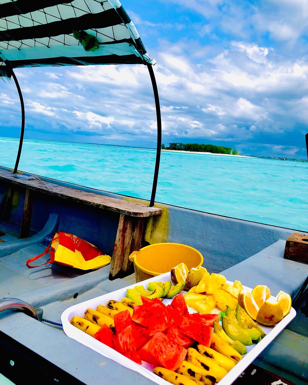 Zanzibar: Swim with Dolphins at Mnemba Island and Visit Turtles at Aquarium