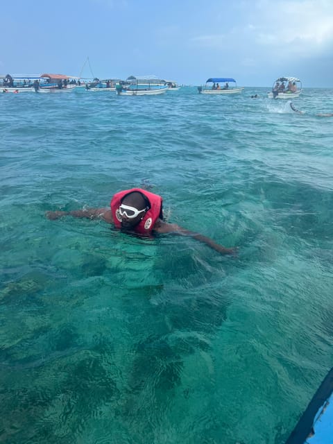 Zanzibar: Swim with Dolphins at Mnemba Island and Visit Turtles at Aquarium