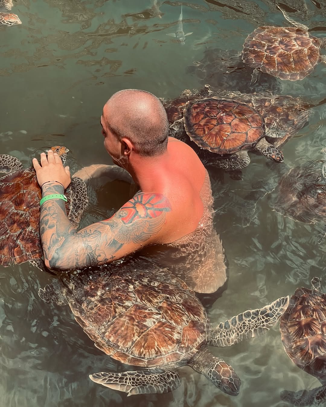 Zanzibar: Swim with Sea Turtles at The Lagoons in Nungwi