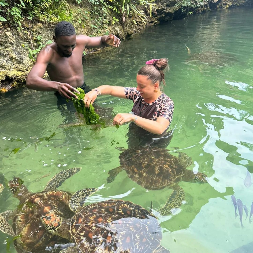 Zanzibar: Swim with Sea Turtles at The Lagoons in Nungwi