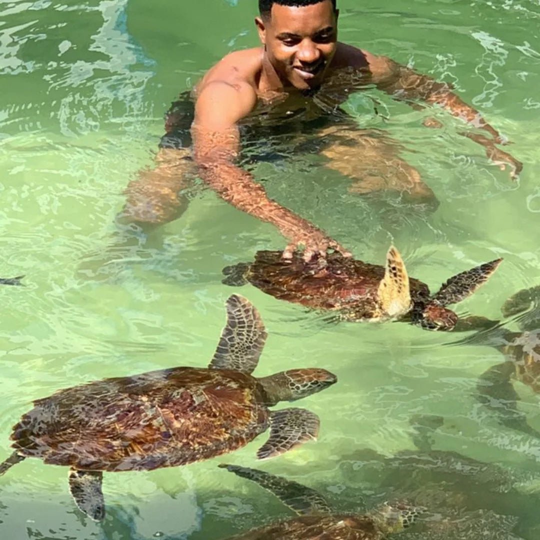 Zanzibar: Swim with Sea Turtles at The Lagoons in Nungwi