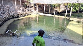 Zanzibar: Swim with Sea Turtles at The Lagoons in Nungwi