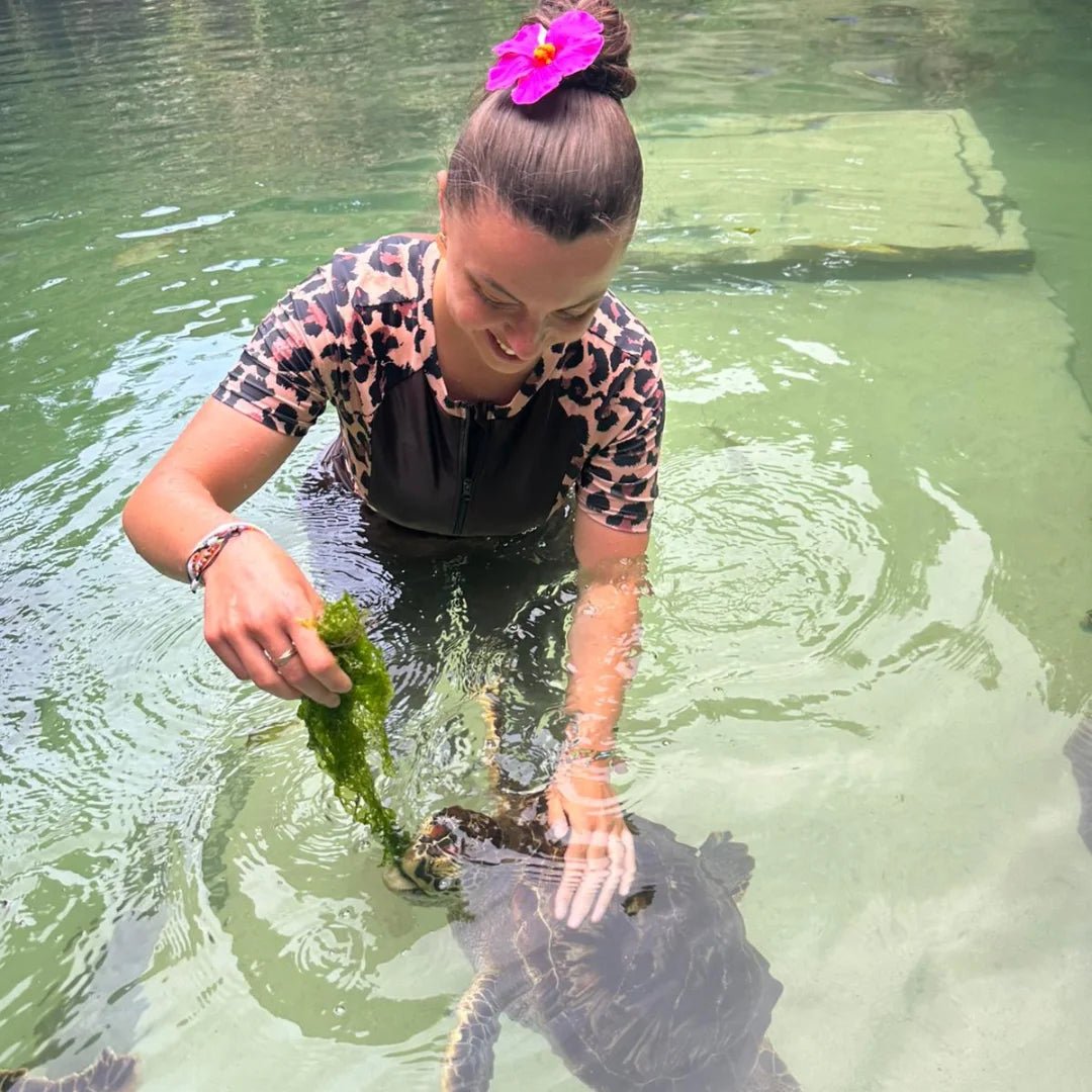 Zanzibar: Swim with Sea Turtles at The Lagoons in Nungwi