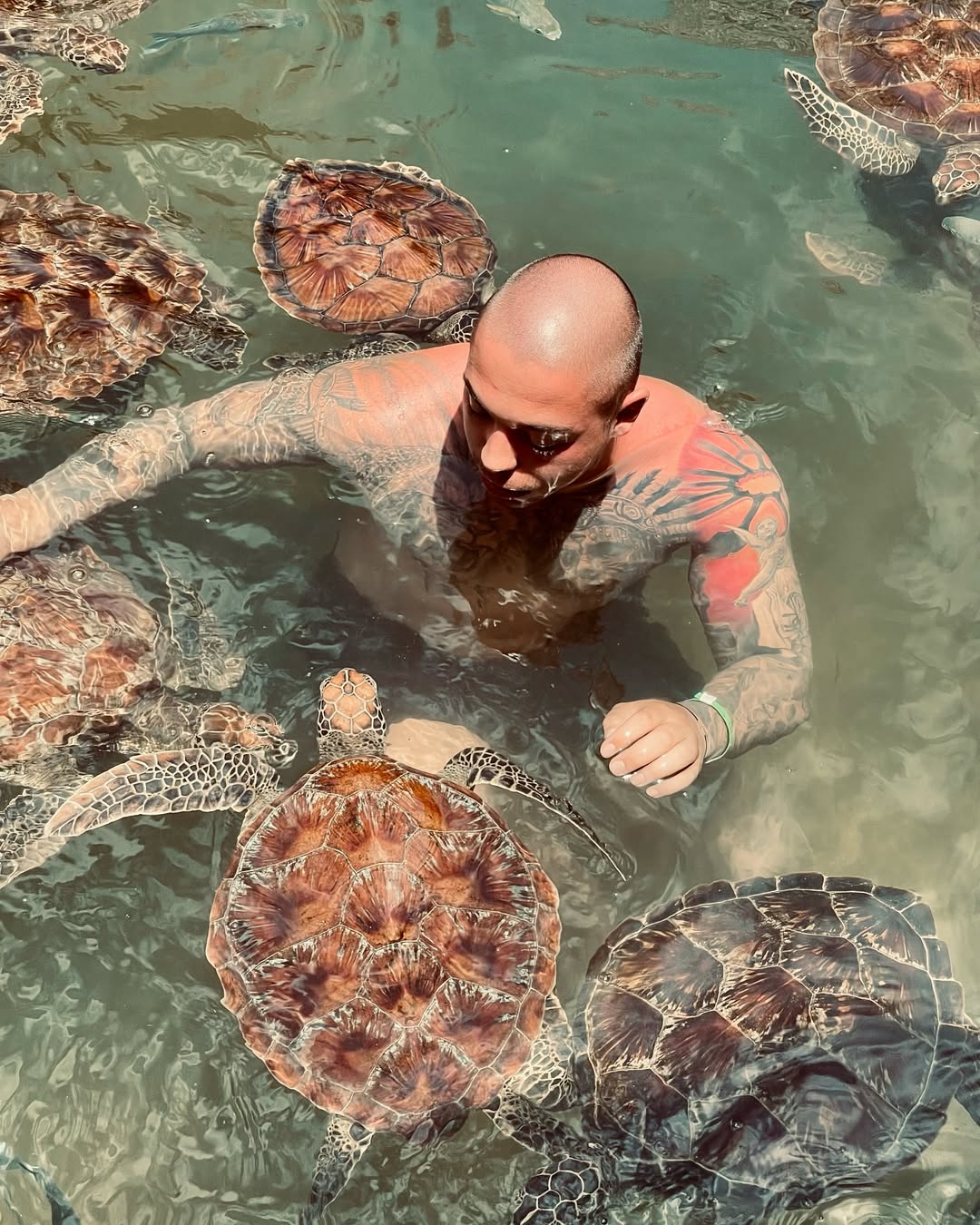Zanzibar: Swim with Sea Turtles at The Lagoons in Nungwi