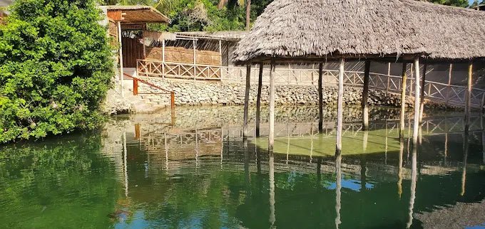 Zanzibar: Swim with Sea Turtles at The Lagoons in Nungwi