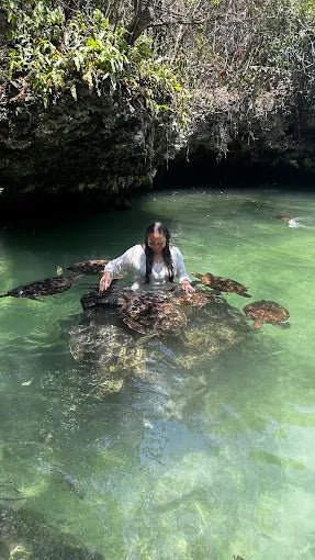 Zanzibar: Swim with Turtles at Baraka Natural Aquarium