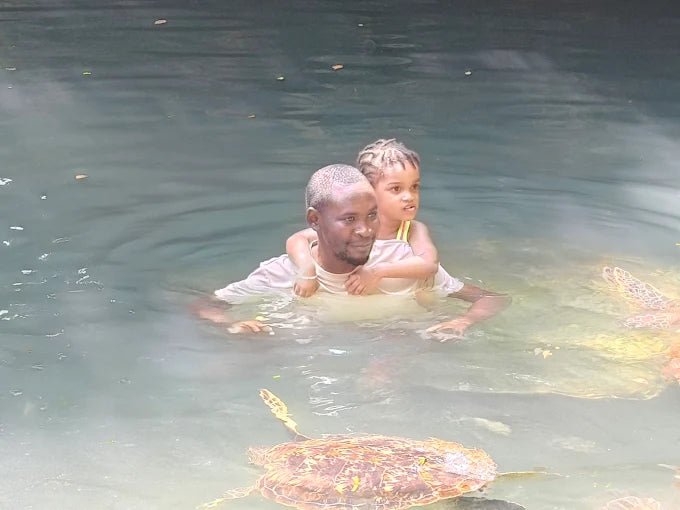 Zanzibar: Swim with Turtles at Baraka Natural Aquarium