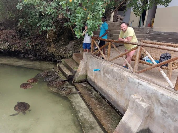 Zanzibar: Swim with Turtles at Baraka Natural Aquarium
