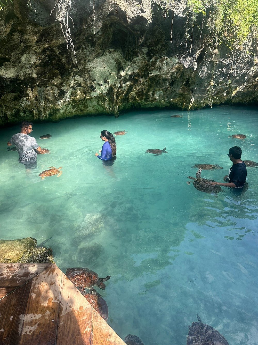 Zanzibar: Swim with Turtles at Salaam Cave Sanctuary in Kizimkazi