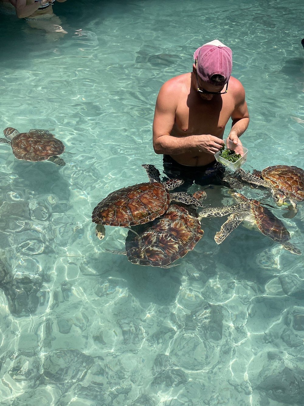 Zanzibar: Swim with Turtles at Salaam Cave Sanctuary in Kizimkazi