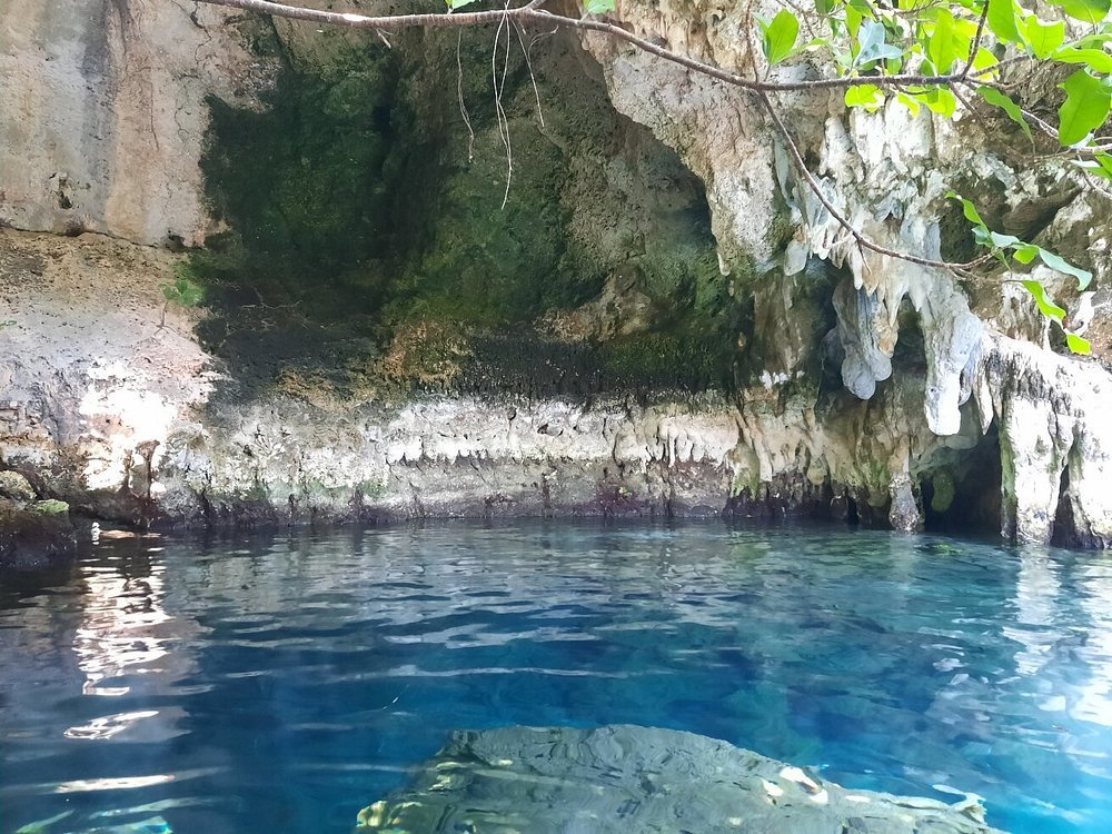 Zanzibar: Swim with Turtles at Salaam Cave Sanctuary in Kizimkazi