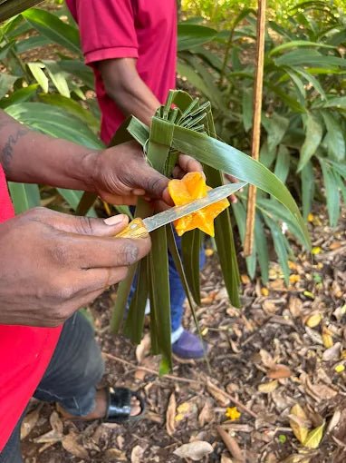 Zanzibar: Traditional Cooking Class and Cultural Village Tour