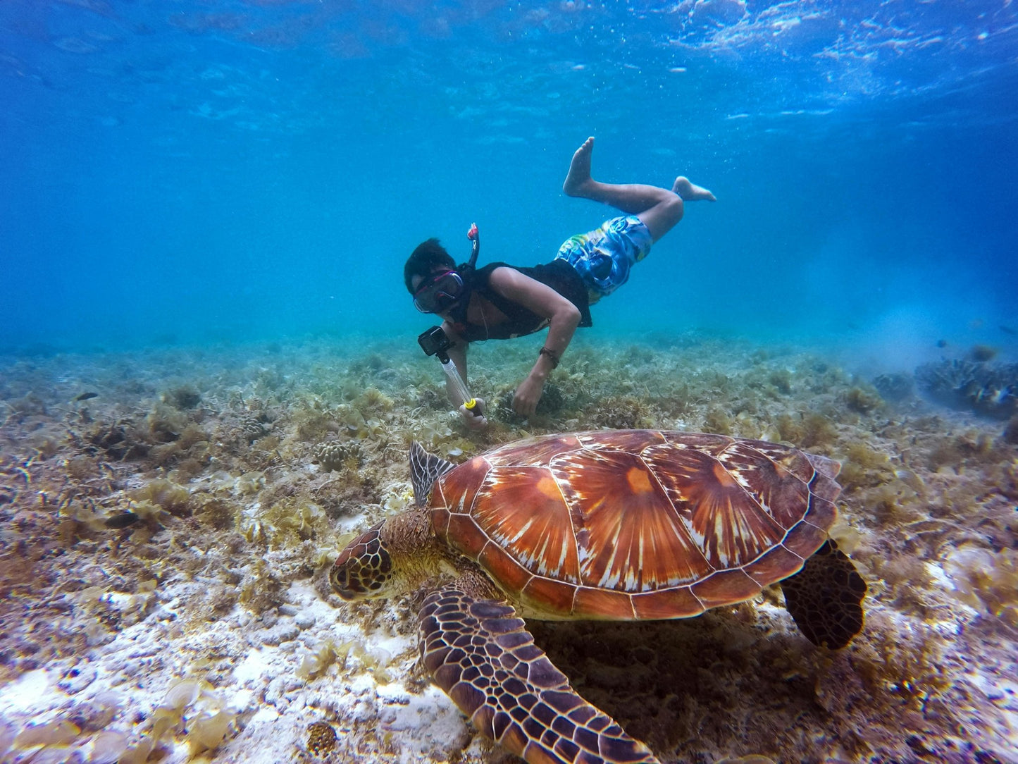 Zanzibar: Tumbatu Island Snorkeling and Sunset Dhow Cruise