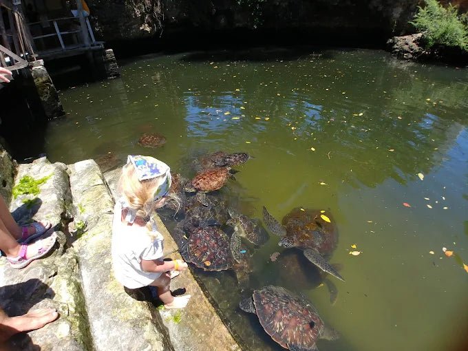 Zanzibar: Village Guided Tour with Fish Market, Boat Yard and Mnarani Aquarium Visit