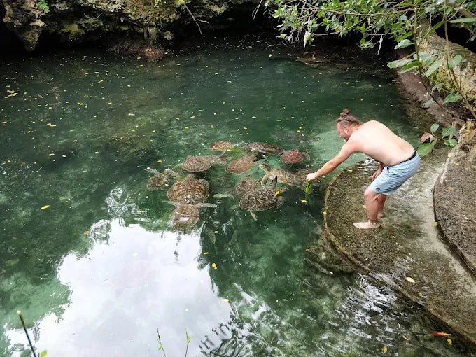 Zanzibar: Village Guided Tour with Fish Market, Boat Yard and Mnarani Aquarium Visit