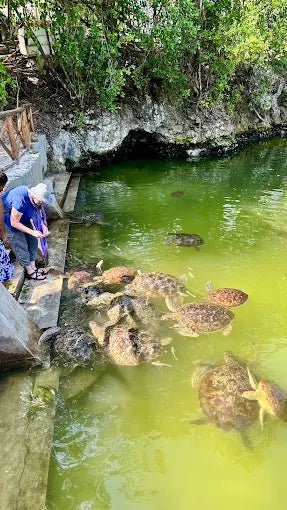 Zanzibar: Village Guided Tour with Fish Market, Boat Yard and Mnarani Aquarium Visit