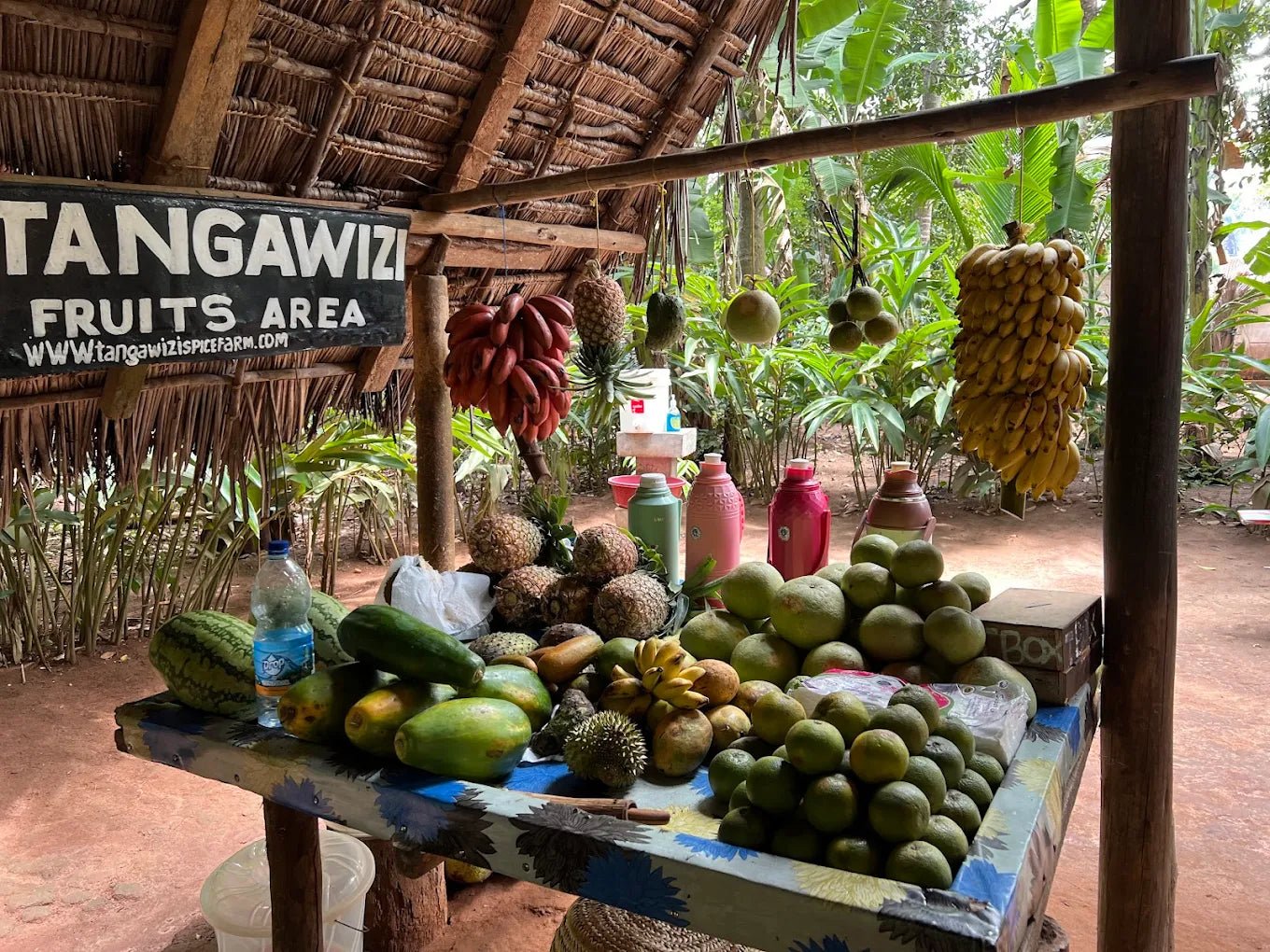 Zanzibar: Walking Spice Farm Tour with Tasting and Hotel Pickup