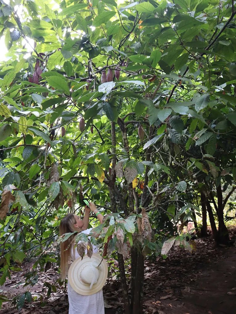 Zanzibar: Walking Spice Farm Tour with Tasting and Hotel Pickup