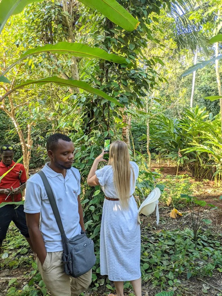 Zanzibar: Walking Spice Farm Tour with Tasting and Hotel Pickup