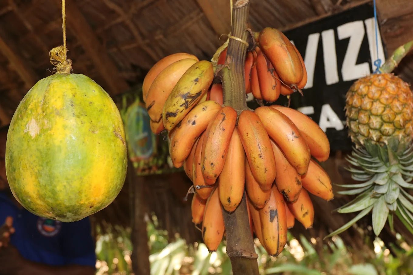 Zanzibar: Walking Spice Farm Tour with Tasting and Hotel Pickup