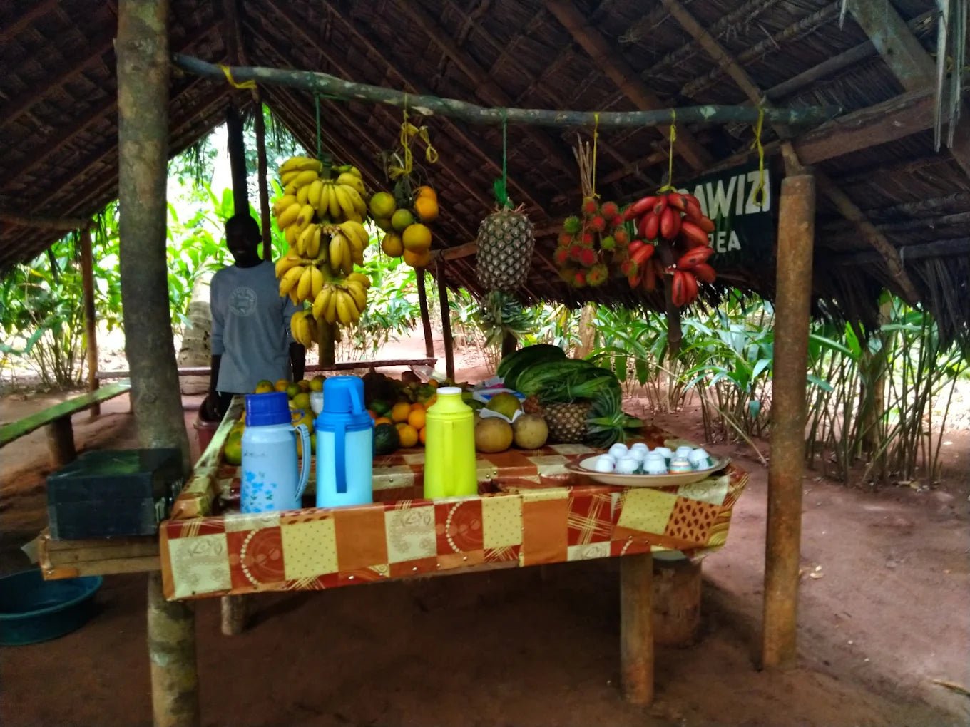 Zanzibar: Walking Spice Farm Tour with Tasting and Hotel Pickup